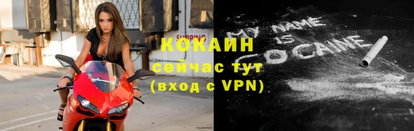 прущие грибы Зерноград