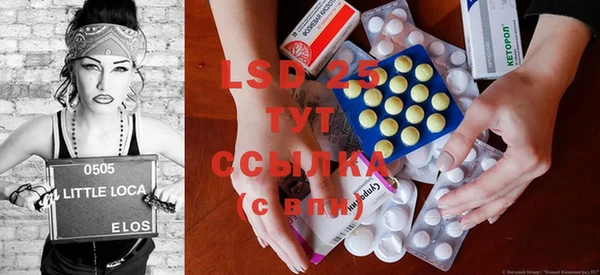 стафф Заводоуковск