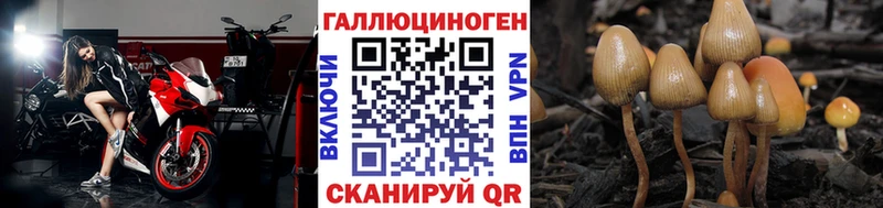 Галлюциногенные грибы Magic Shrooms Купить закладки Катав-Ивановск